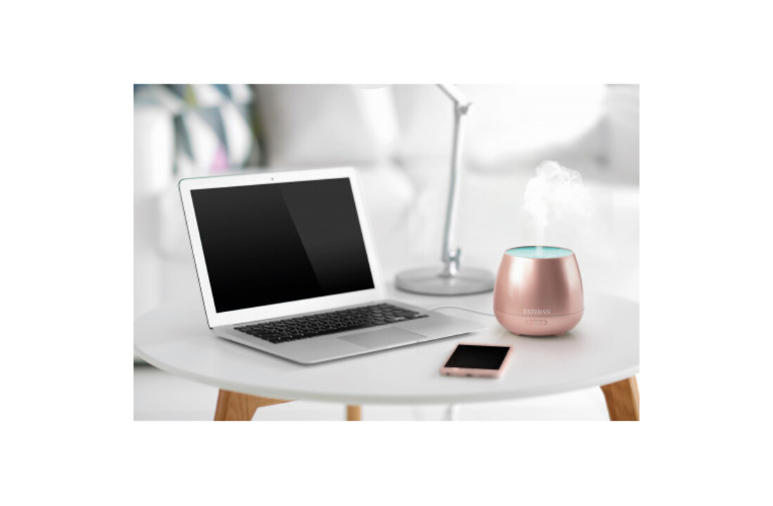 Esteban Mist Diffuser Easy Pop edition Rose Gold