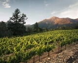 Anakota: De Kracht van Sonoma County in Elke Fles
