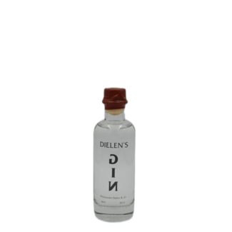 Dielen Dielen's Gin 0.2L
