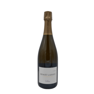 Benoît Lahaye Benoit Lahaye Violaine 2016