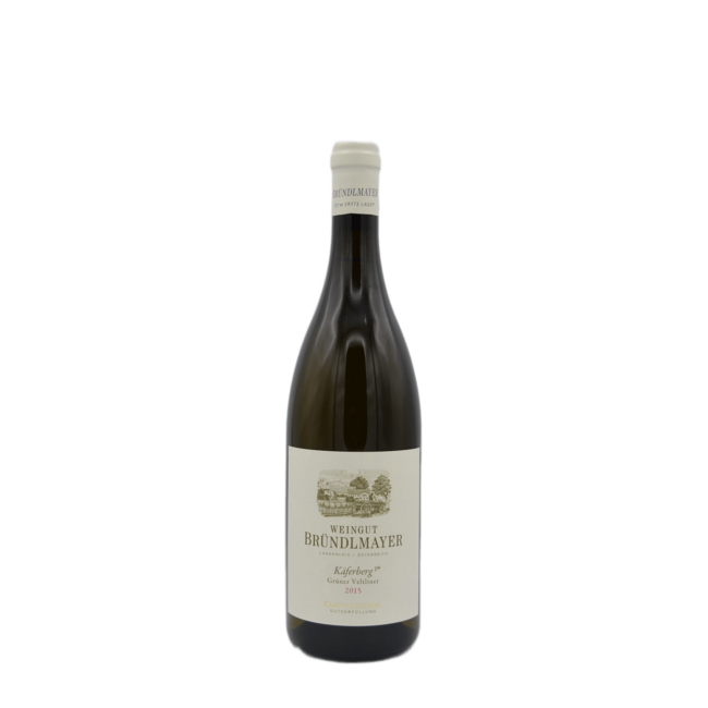 Weingut Brundlmayer Gruner Veltliner Käferberg 2015