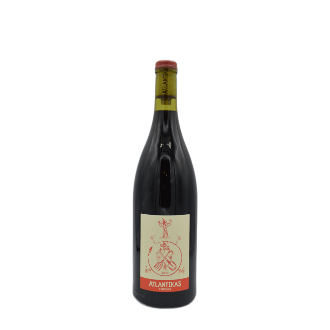Bernhard Bredell Atlantikas 2019 Pinotage