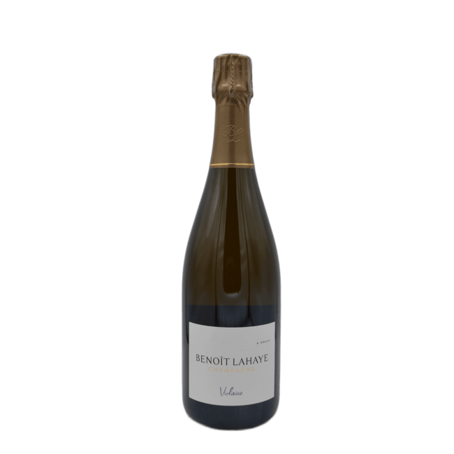 Benoit Lahaye Violaine 2016