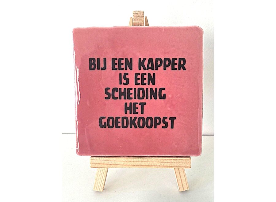 Bij een kapper is een scheiding het goedkoopst- roze