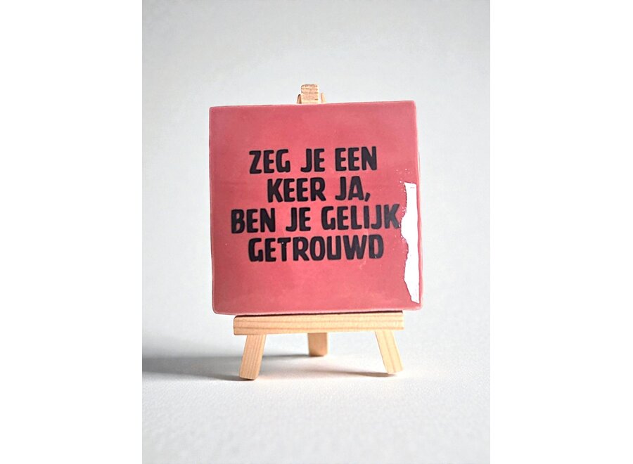 zeg je een keer ja, ben je gelijk getrouwd - roze