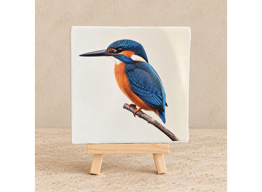 IJsvogel op een tegel | Kleurrijk vogel tegeltje voor vogelliefhebbers