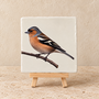 Vink op een tegel | Mooi vogel tegeltje voor vogelliefhebbers