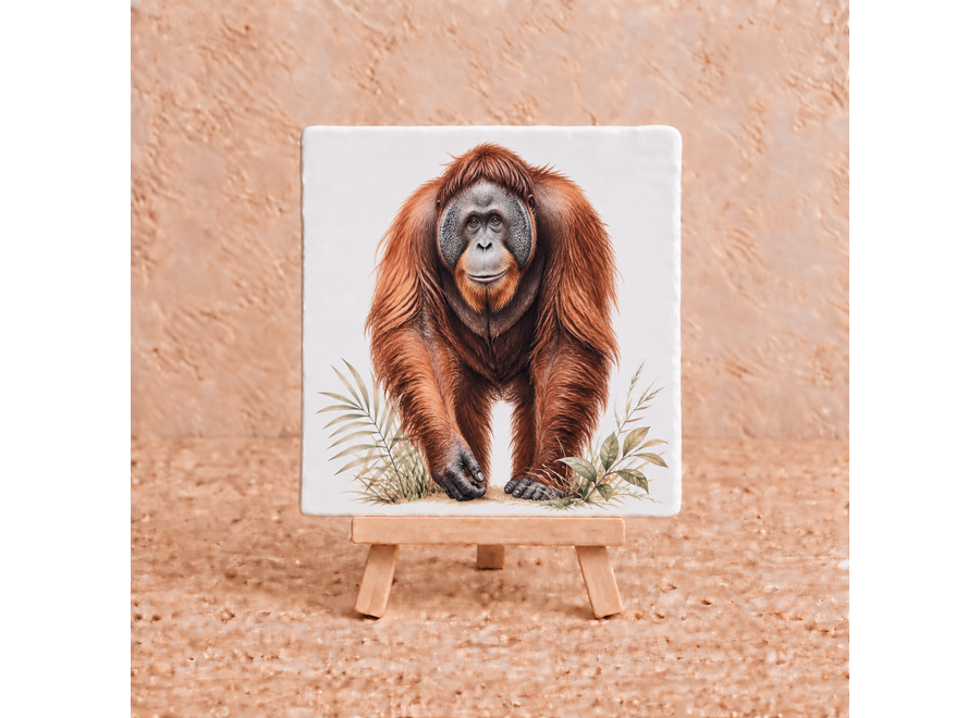 Orang-oetan tegeltje