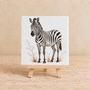 Zebra op een tegel | Stoer safari & wild dier tegeltje
