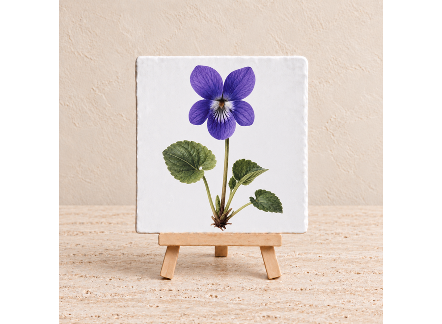 Violette bloemtegel