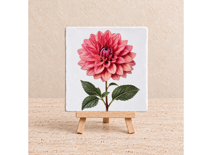 Roze dahlia op een tegel | Romantisch bloementegeltje