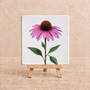 Zonnehoed op een tegel | Echinacea bloementegeltje