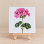 Roze geranium op een tegel | Vrolijk bloementegeltje