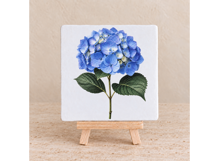 Blauwe hortensia op een tegel | Sfeervol bloementegeltje