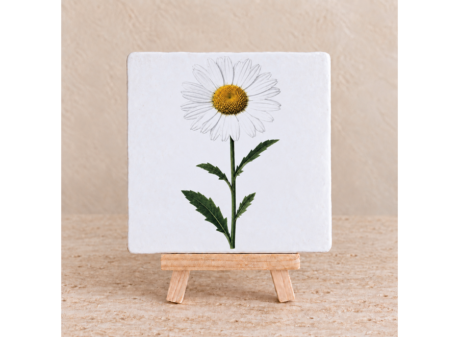 Margriettegel