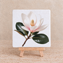 Magnolia op een tegel | Elegant & romantisch bloementegeltje