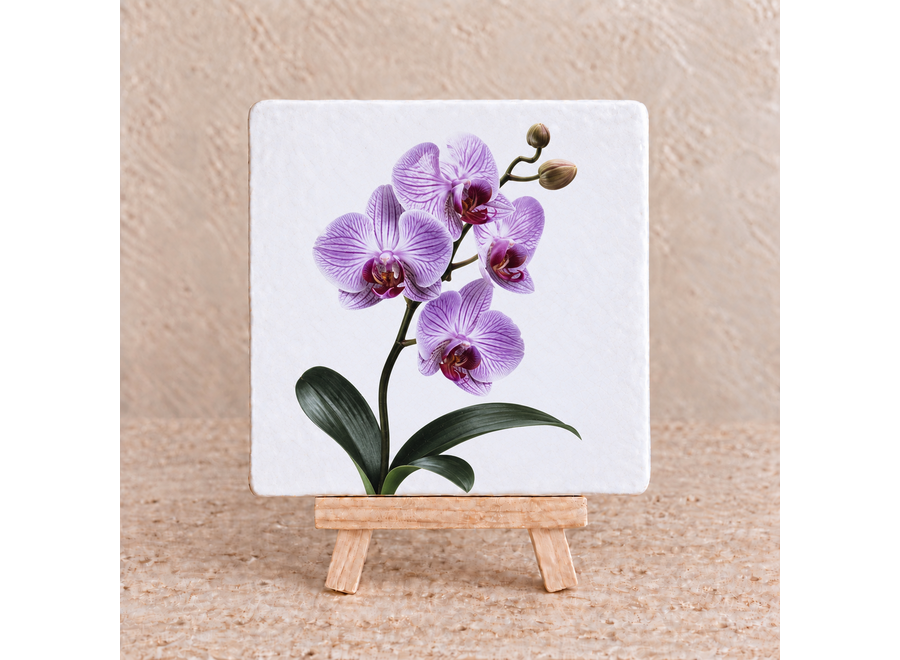 Paarse orchidee tegeltje