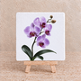 Paarse orchidee op een tegel | Elegant bloementegeltje