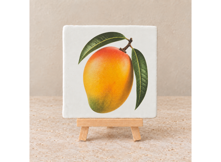 Mango op een tegel | Tropisch fruittegeltje