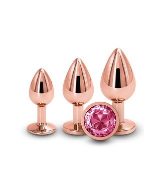 NS Novelties REAR ASSETS TRAINER KIT ROSE GOLD PINK