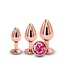 NS Novelties REAR ASSETS TRAINER KIT ROSE GOLD PINK