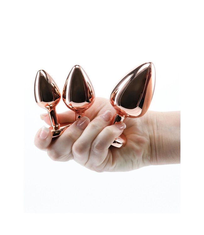 NS Novelties REAR ASSETS TRAINER KIT ROSE GOLD PINK