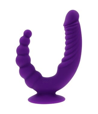 Evolved EVOLVED THE RIDER