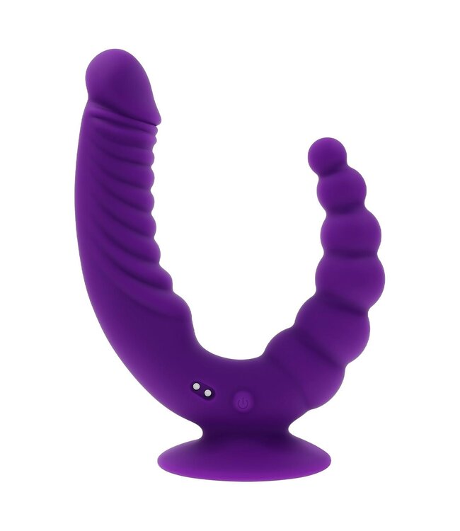 Evolved EVOLVED THE RIDER