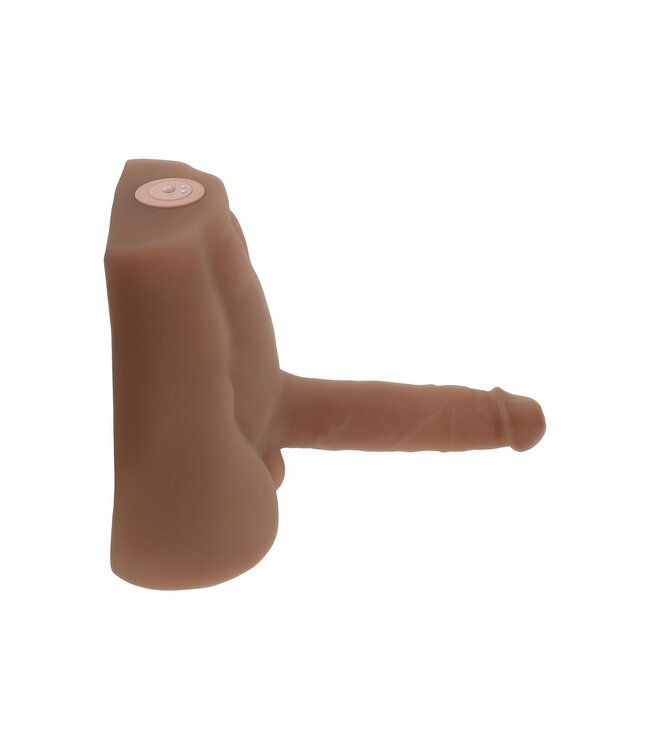 Evolved EVOLVED TORSO EASY RIDER DARK