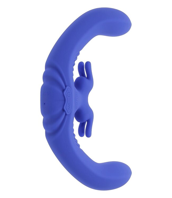 Evolved EVOLVED LOVEBIRDS