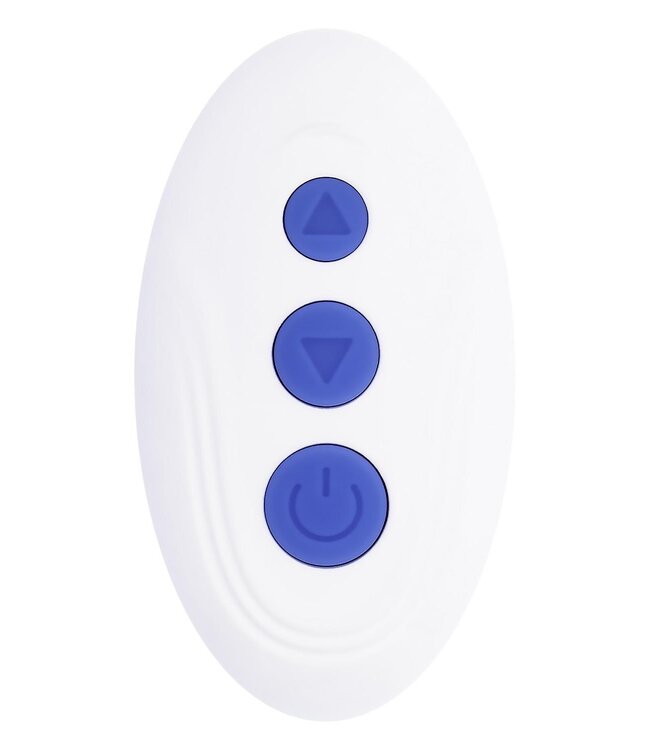 Evolved EVOLVED LOVEBIRDS