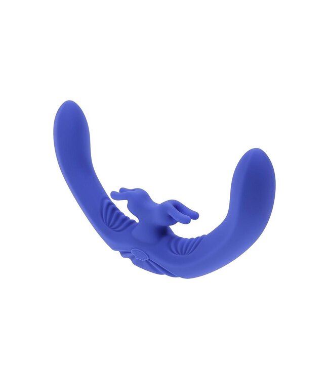 Evolved EVOLVED LOVEBIRDS