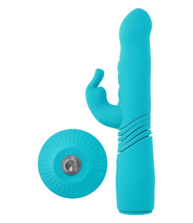 Evolved EVOLVED BUNNY HOP