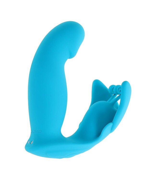 Evolved EVOLVED SPREAD YOUR WINGS