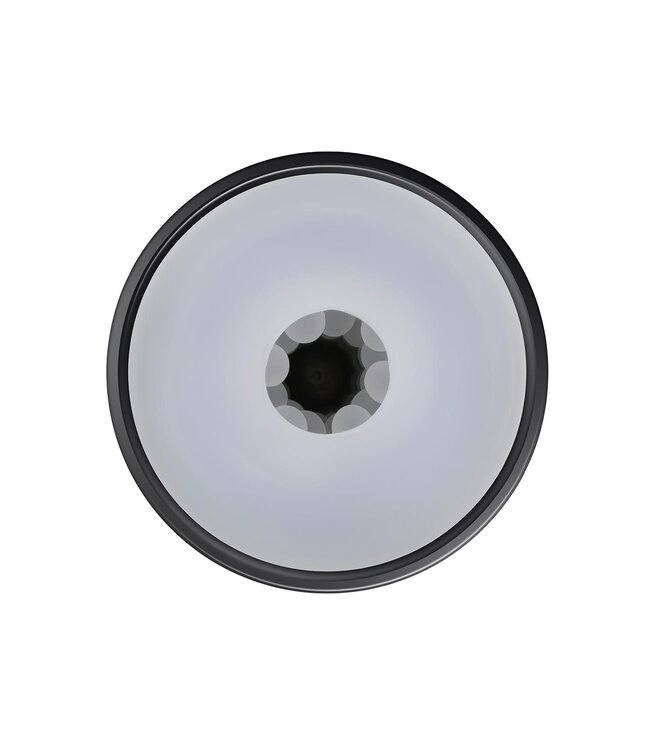 Evolved PLAYBOY THE URGE LARGE