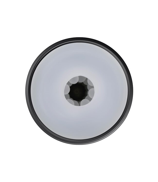 Evolved PLAYBOY THE URGE MEDIUM