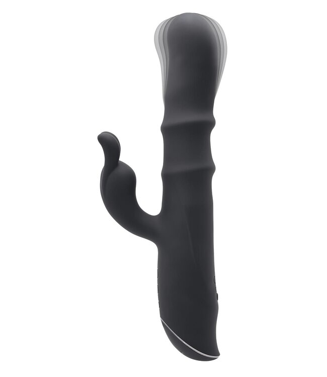 Evolved EVOLVED RINGMASTER