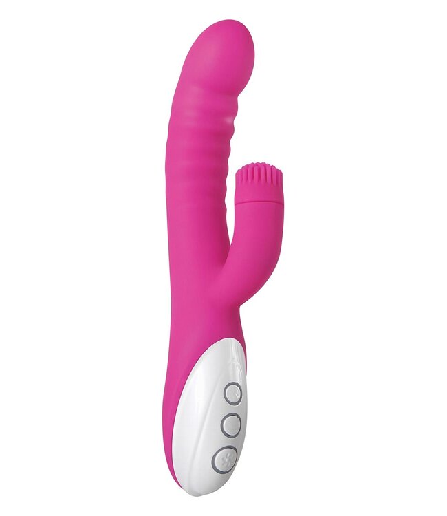 Evolved EVOLVED ROCKIN G