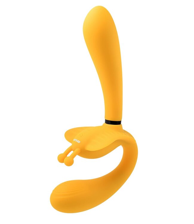 Evolved EVOLVED THE MONARCH