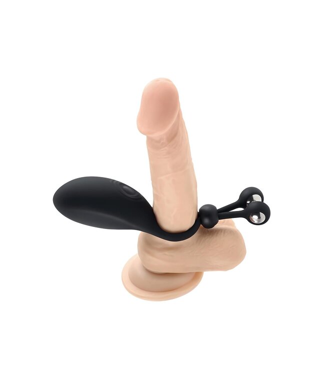 Evolved ZERO TOLERANCE THE BIG BANG