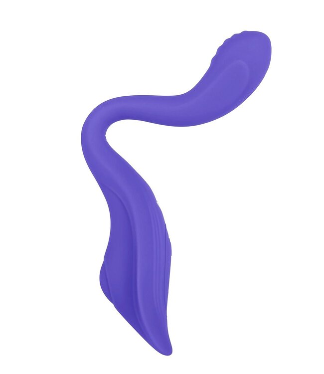 Evolved EVOLVED ANYWHERE VIBE