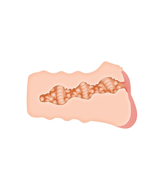 Evolved ZERO TOLERANCE RILEY REID REALISTIC VAGINA STROKER