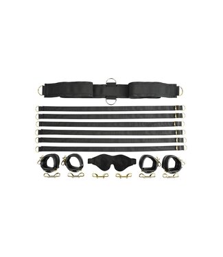 Sportsheets SPORTSHEETS SPECIAL EDITION UNDER THE BED RESTRAINT SYSTEM