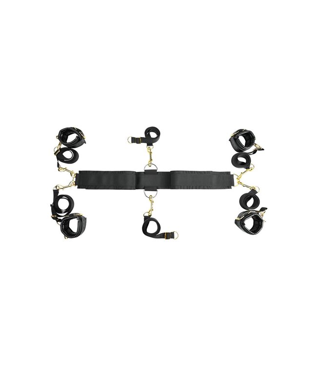 Sportsheets SPORTSHEETS SPECIAL EDITION UNDER THE BED RESTRAINT SYSTEM