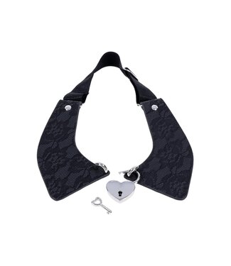 Sportsheets SPORTSHEETS SEX AND MISCHIEF LACE DAY COLLAR
