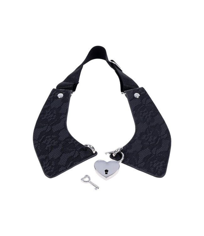 Sportsheets SPORTSHEETS SEX AND MISCHIEF LACE DAY COLLAR