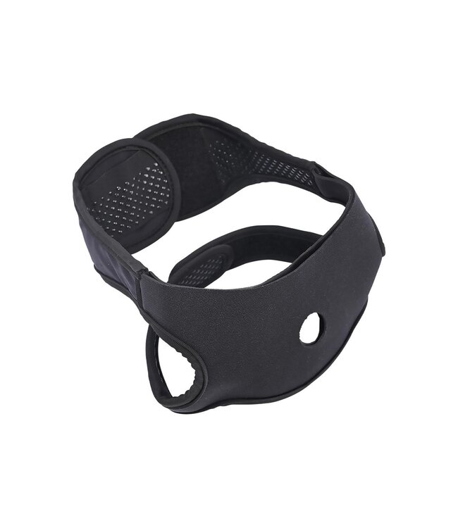 Sportsheets SPORTSHEETS PIVOT IN YOUR FACE STRAP ON
