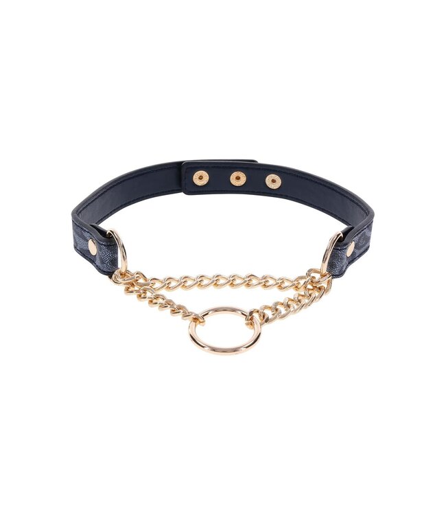 Sportsheets SPORTSHEETS COUGAR DAY COLLAR