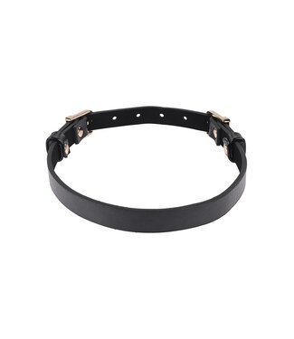 Sportsheets SEX AND MISCHIEF DOUBLE BUCKLE DAY COLLAR