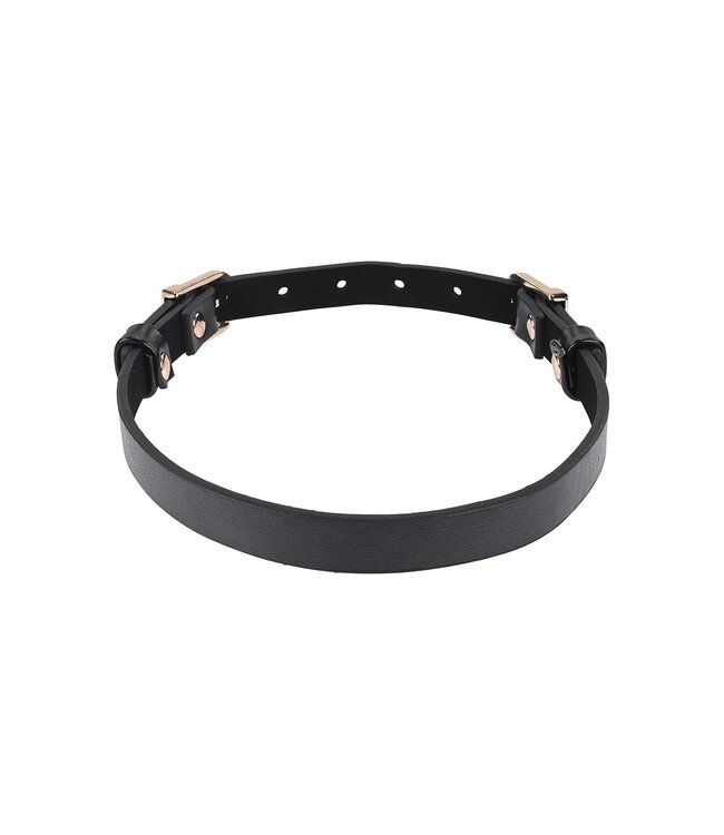 Sportsheets SEX AND MISCHIEF DOUBLE BUCKLE DAY COLLAR